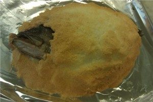 Salt Crusted Whole Fish
